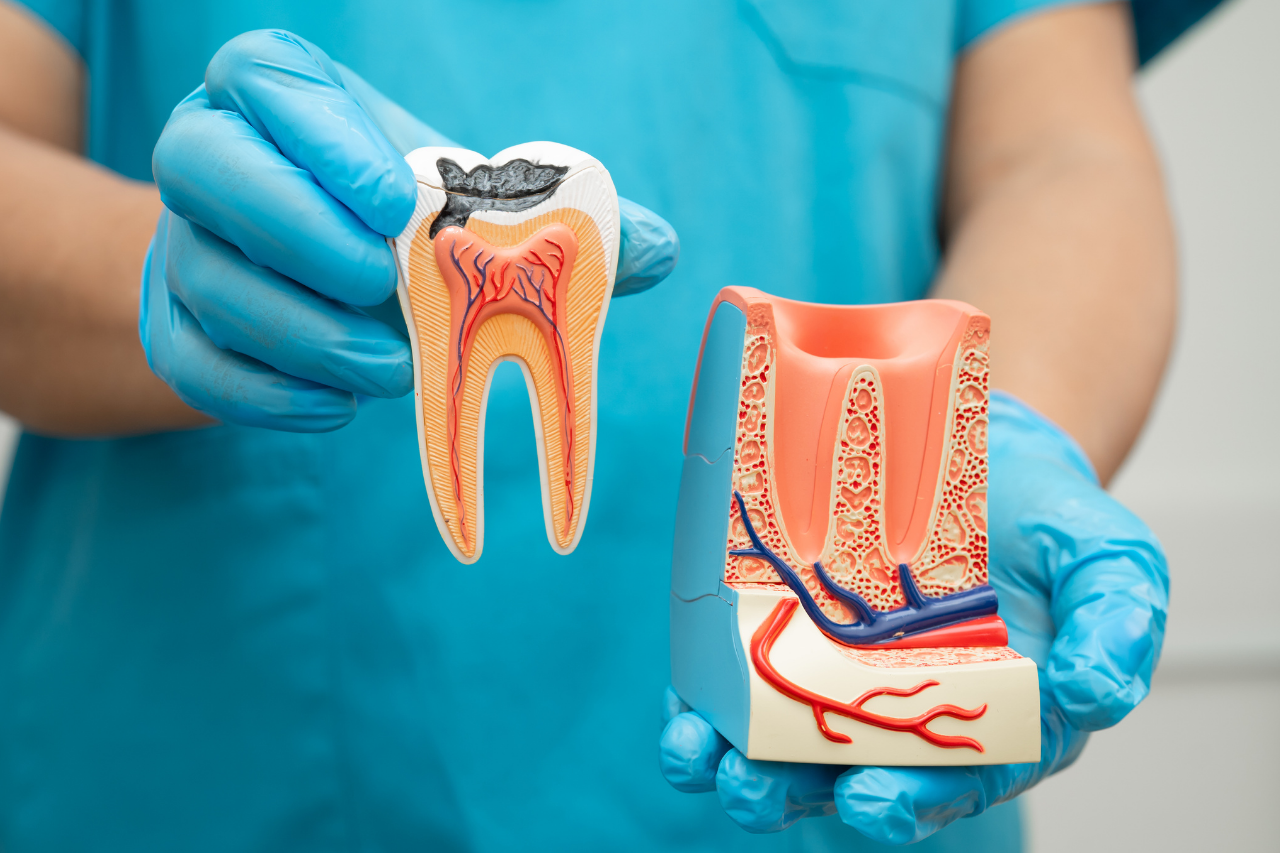 Gum treatment and oral surgery icon